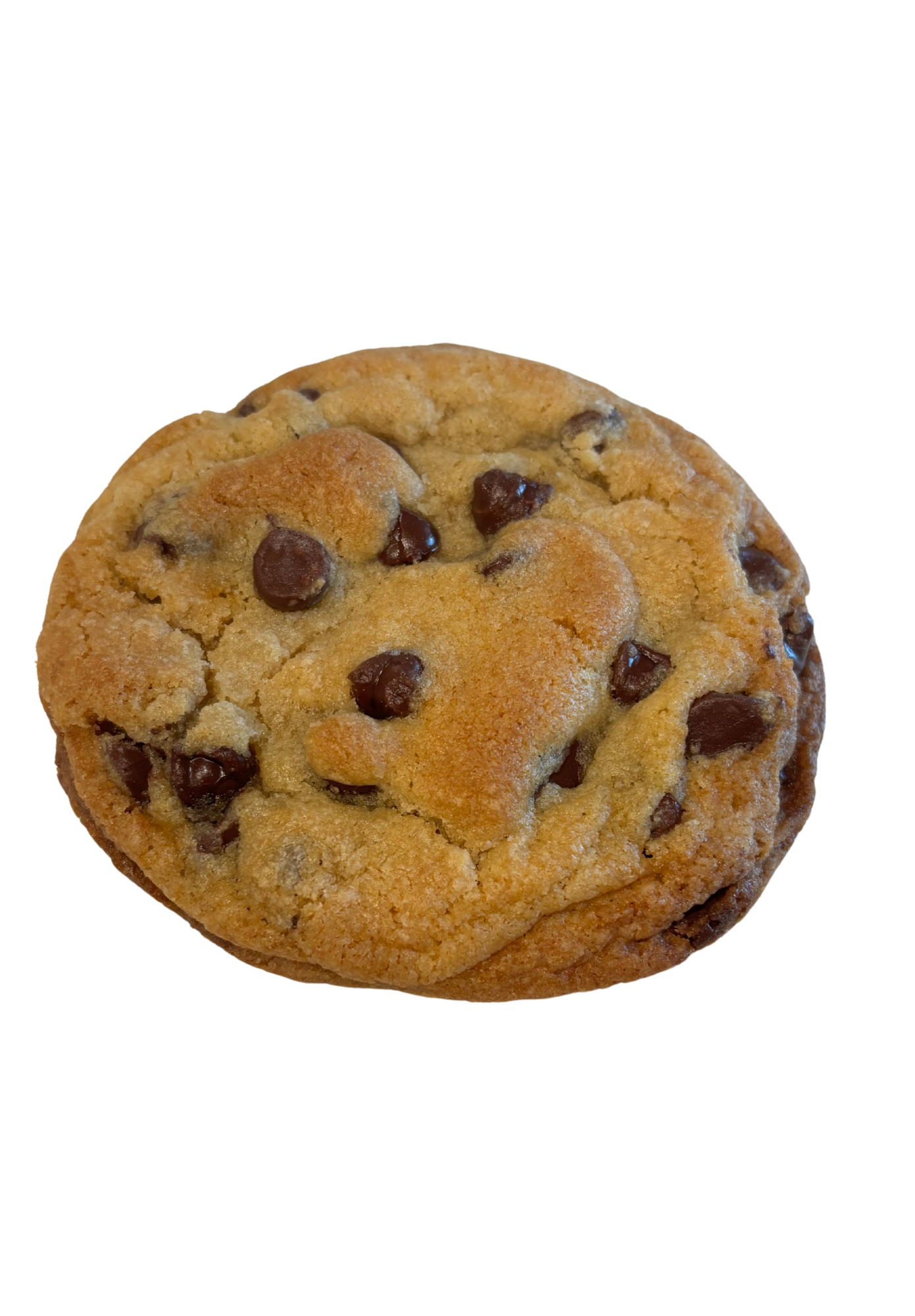 Chocolate Chip
